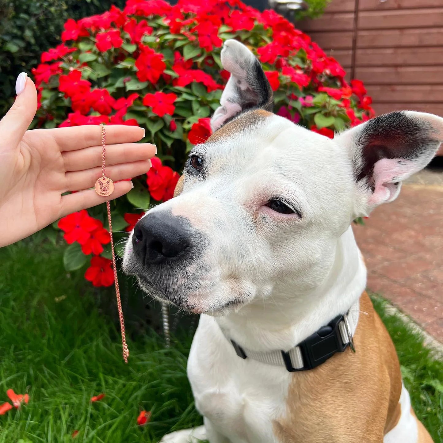 Personalizovaný náhrdelník se jménem a tváří domácího mazlíčka